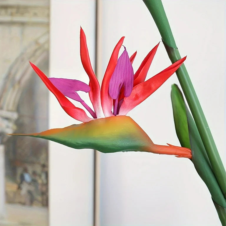 Bird Of Paradise Flower
