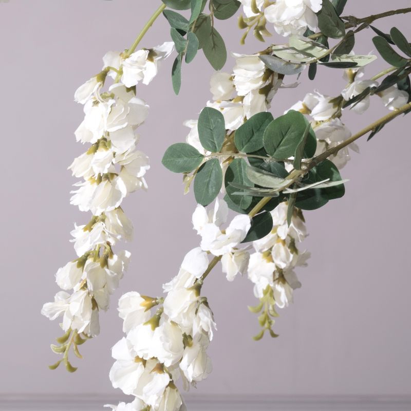 Wisteria White Flower