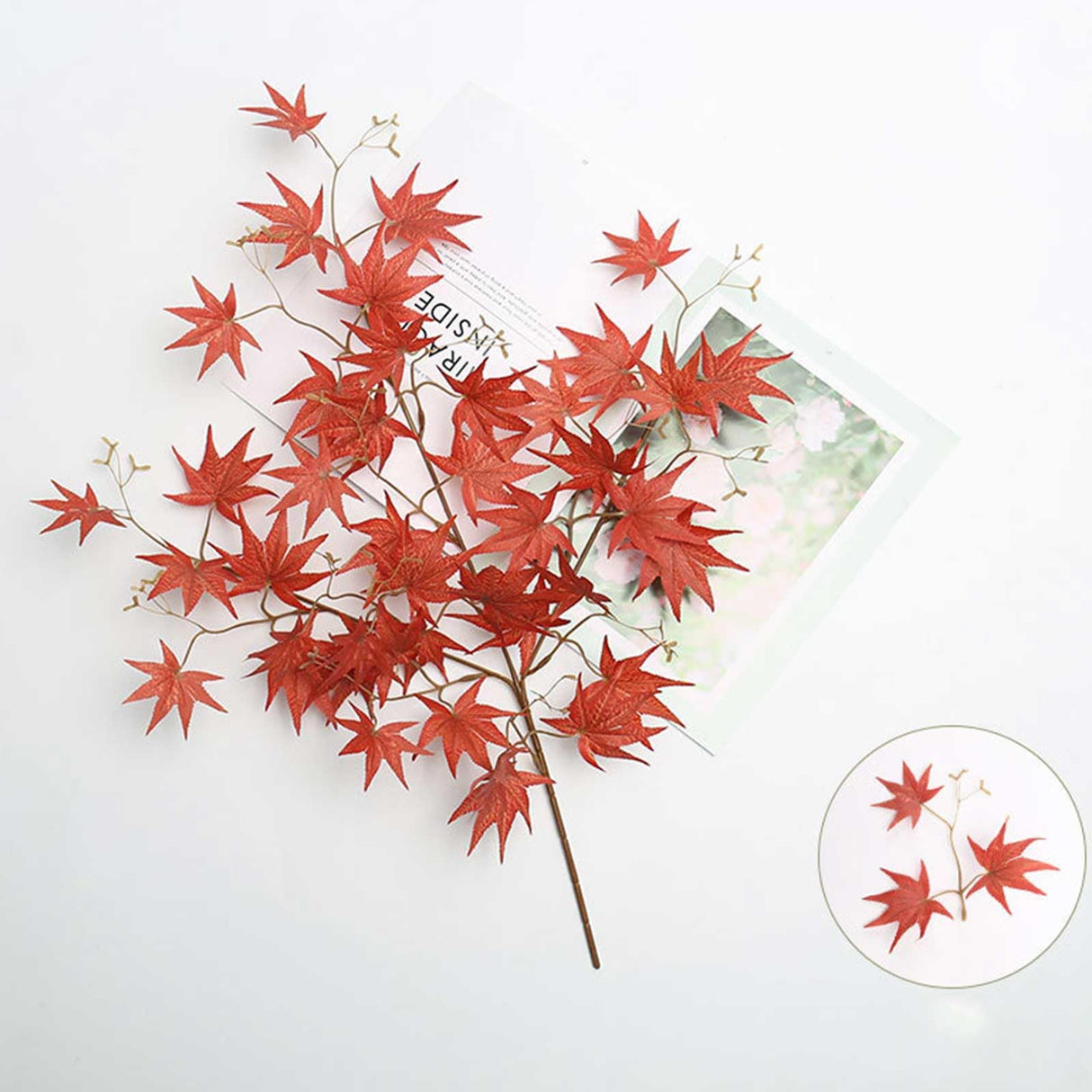 Maple Red lead Flower