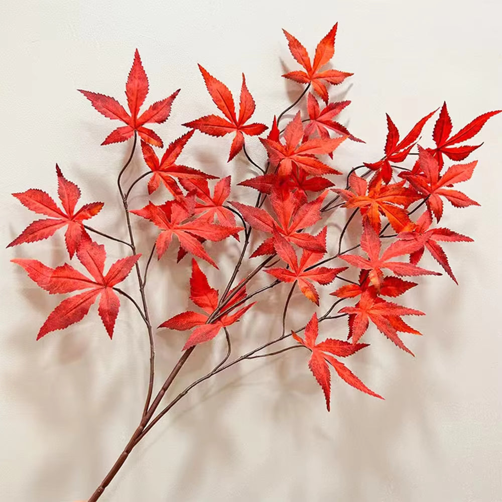 Maple Red lead Flower