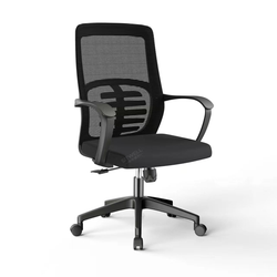 Magin Low Back Mesh Office Chair