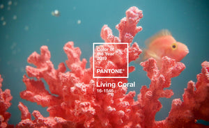 Pantone’s 2019 Color of the Year: Living Coral… How to implement it in your home?