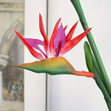 Bird Of Paradise Flower