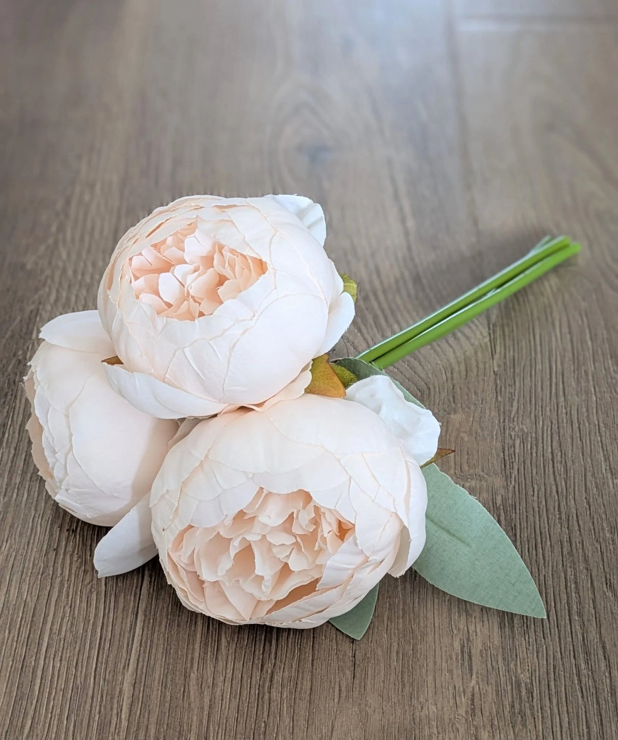 Chinese Peony White Flower