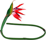 Bird Of Paradise Flower