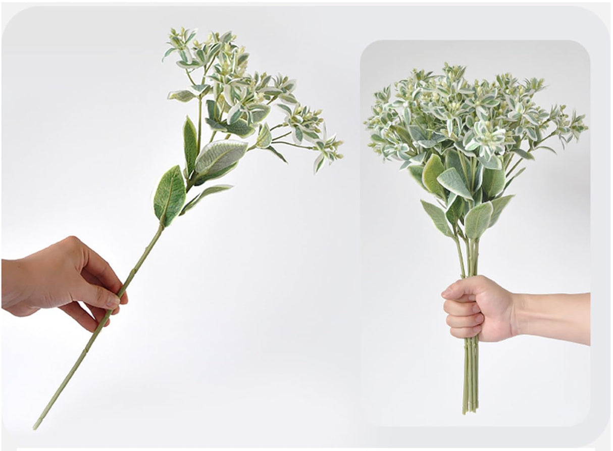 Melrose Euphorbia Floral Stem Plant