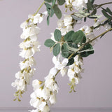 Wisteria White Flower