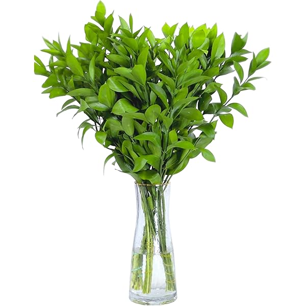 Booxwood Steam Plant