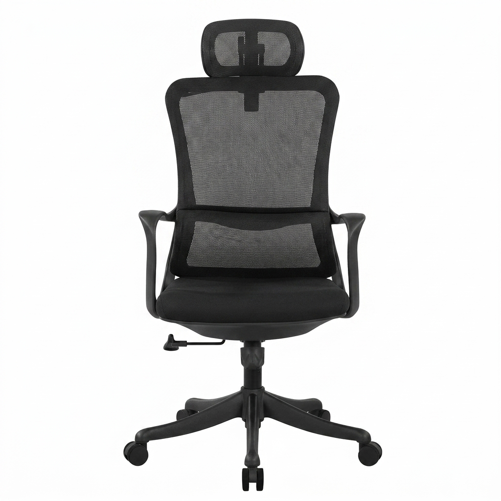 Cora Ergonomic Manager Office Chair