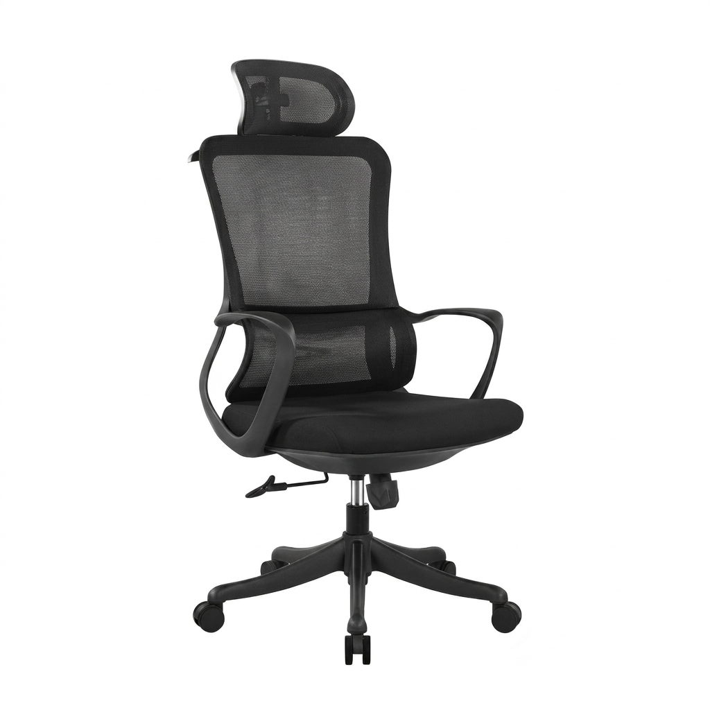 Cora Ergonomic Manager Office Chair