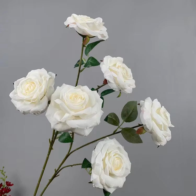 White Rose