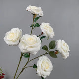 White Rose