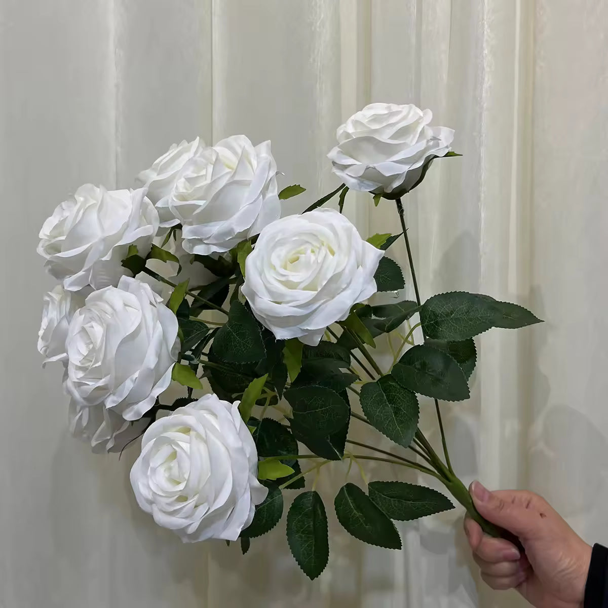 White Rose