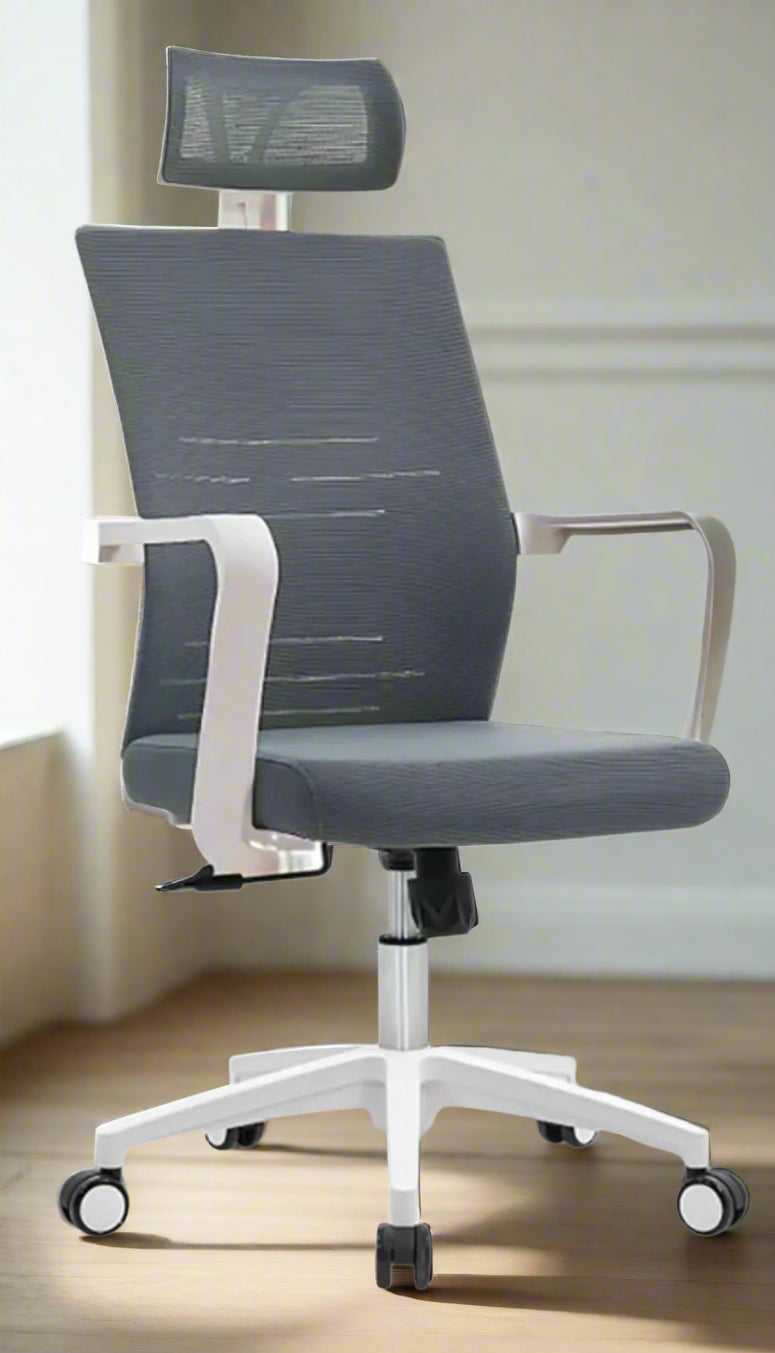 Lecto Mesh Manager Chair