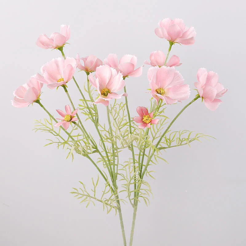 Cosmos Flower