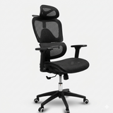 Platinum Ergonomic Manager Office Chair