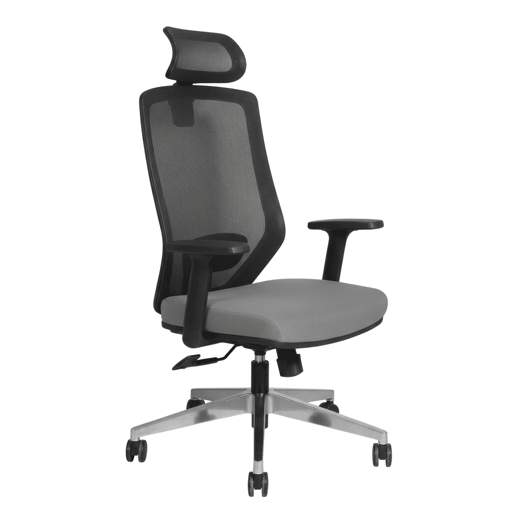 Tiegan Executive Manager Office Chair