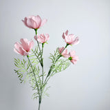 Cosmos Flower