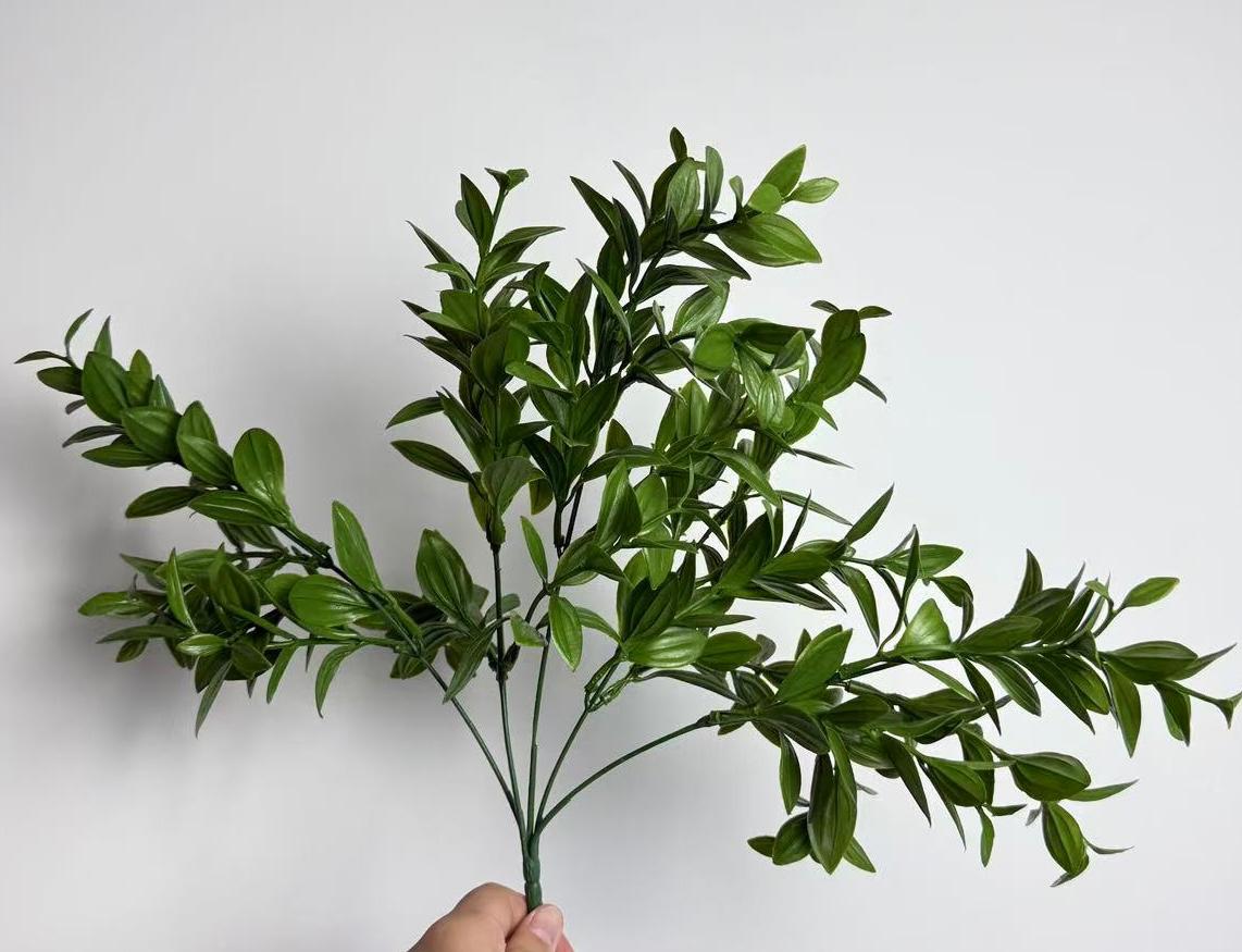 Booxwood Steam Plant