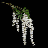 Wisteria White Flower