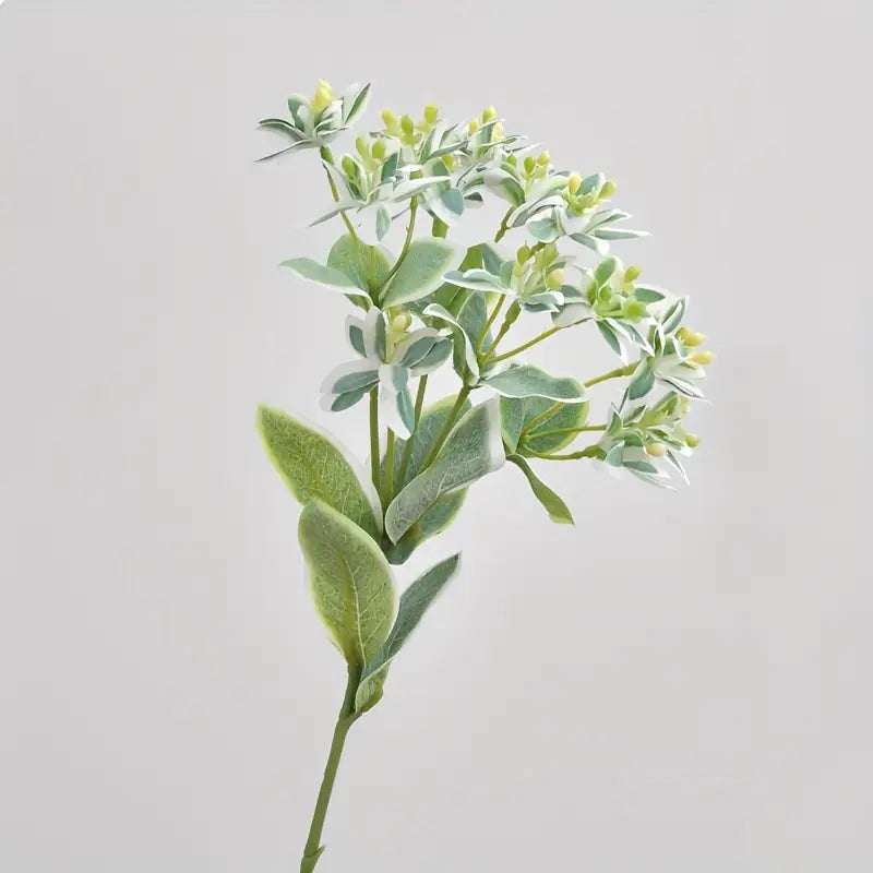 Melrose Euphorbia Floral Stem Plant