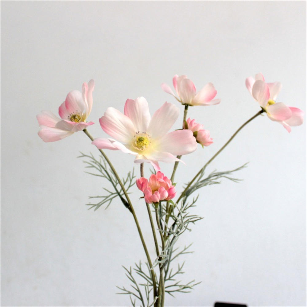 Cosmos Flower