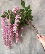 Wisteria Pink Flower