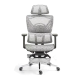 Tesla Ergonomic Manager Office Chair