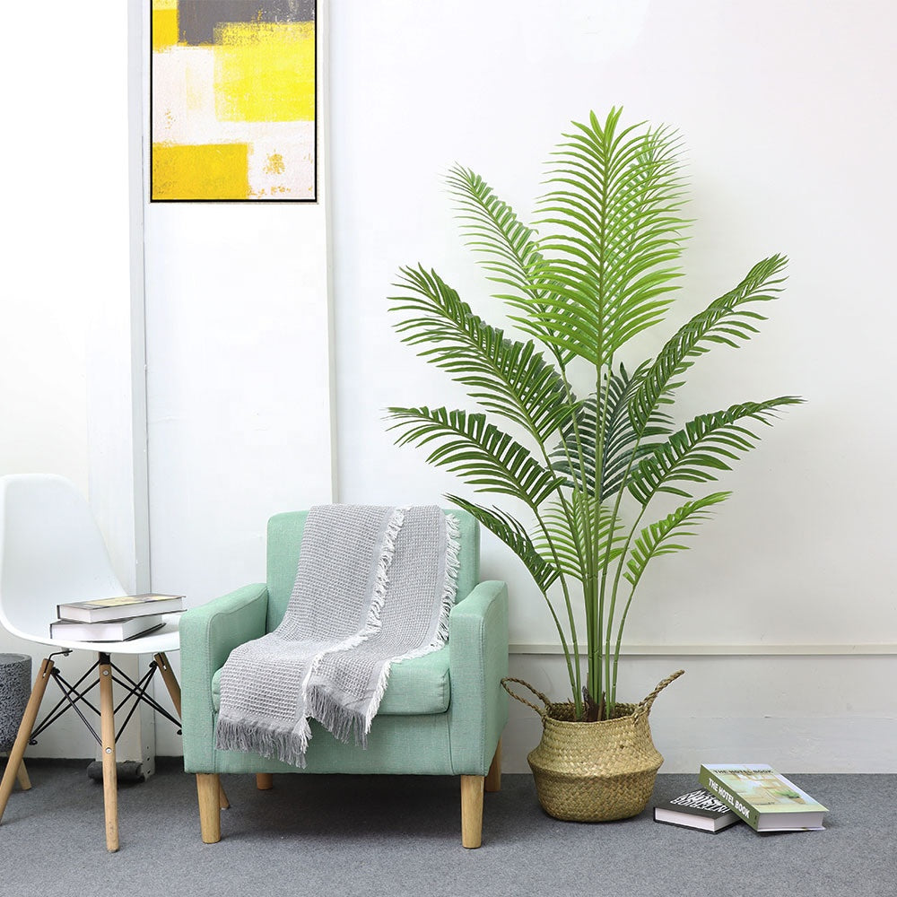 Areca Palm Plant ( 120cm )