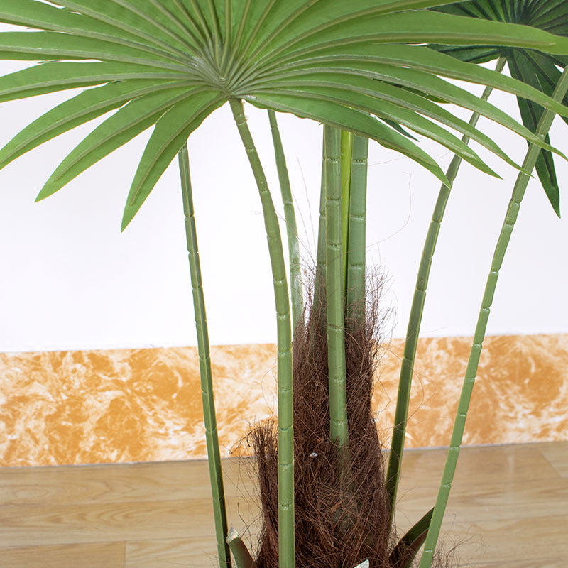 Palmetto Plant ( 120cm )