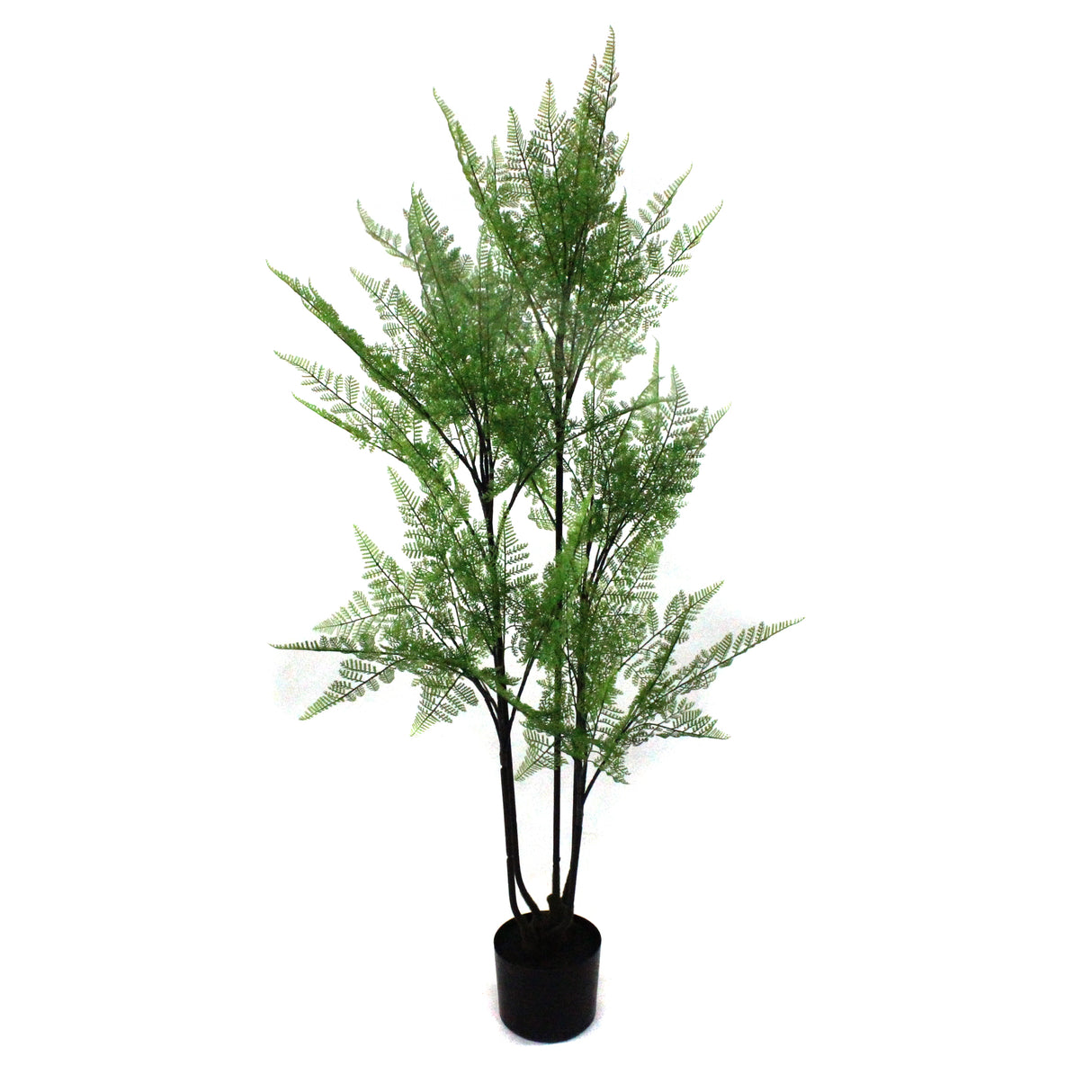 Fern Grass Forest Plant ( 120cm )