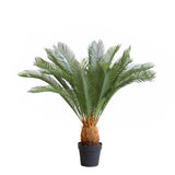 Tropical Palm Tree ( 70cm )