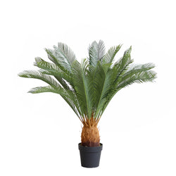 Tropical Palm Tree ( 110cm )