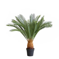 Tropical Palm Tree ( 70cm )