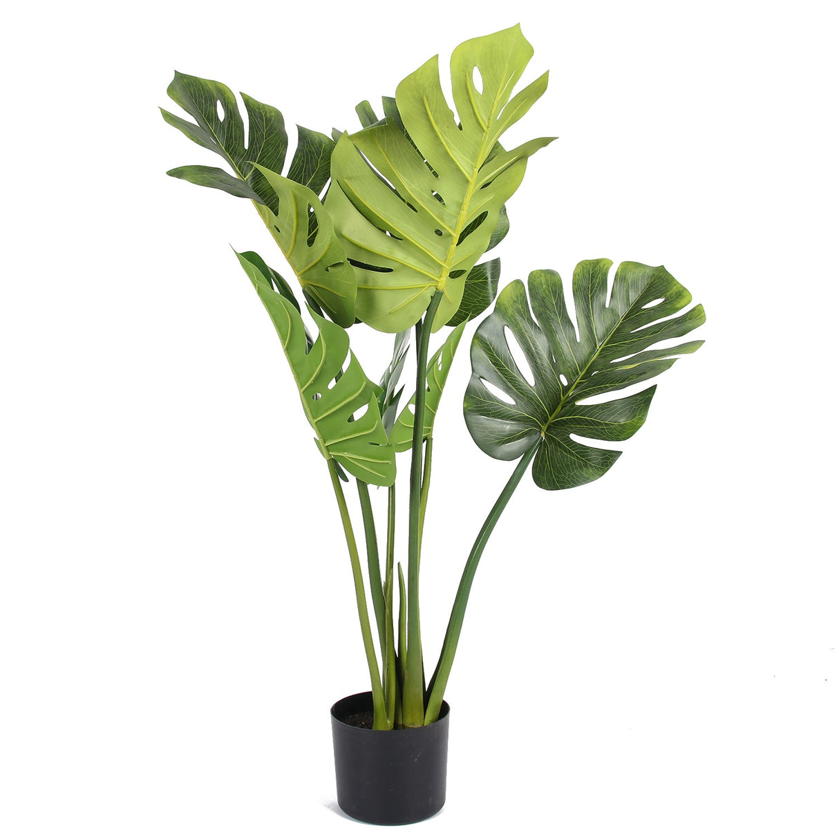 Monstera Tropical Palm Tree ( 120cm )