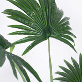 Palmetto Plant ( 210cm )