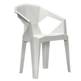 Motly Durable Plastic Outdoor/Dining Chair