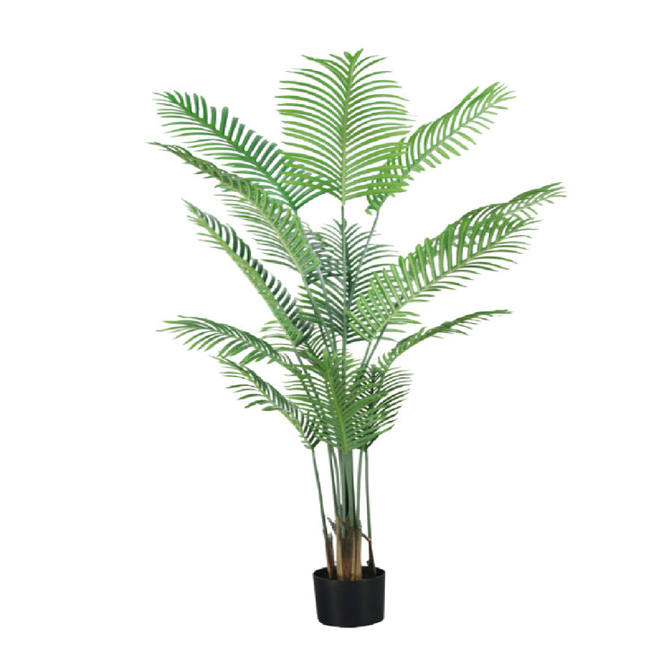 Bonsai Palm Tree ( 120cm )